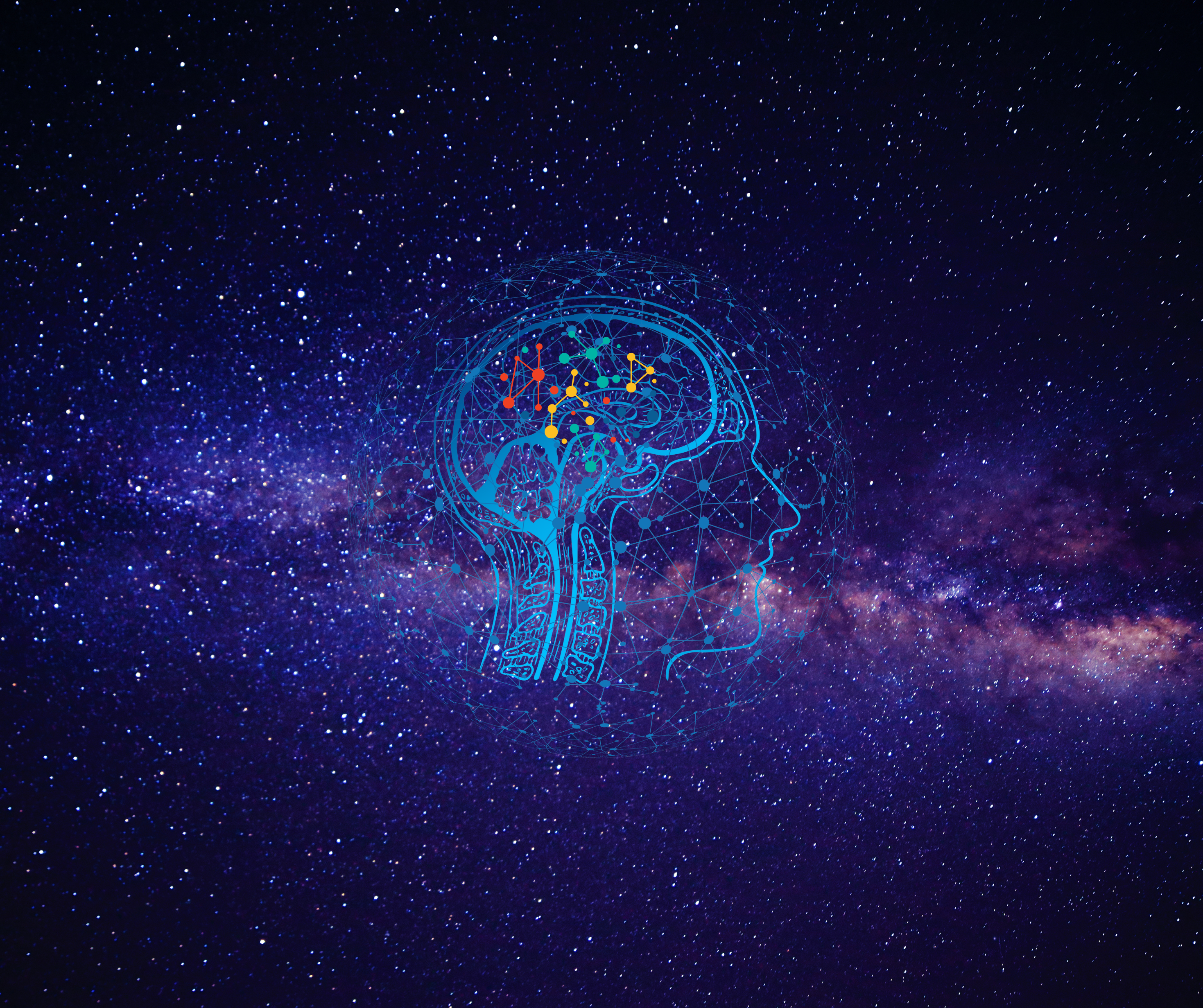 Brain